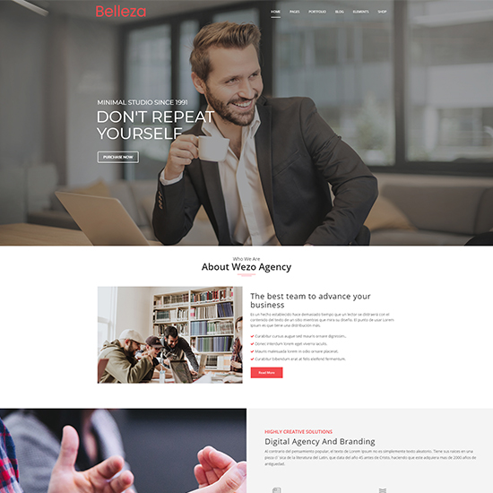 Agency Website Template (Featured)